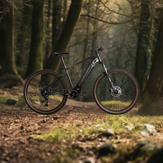 Bicicleta Atomic R29 Alivio