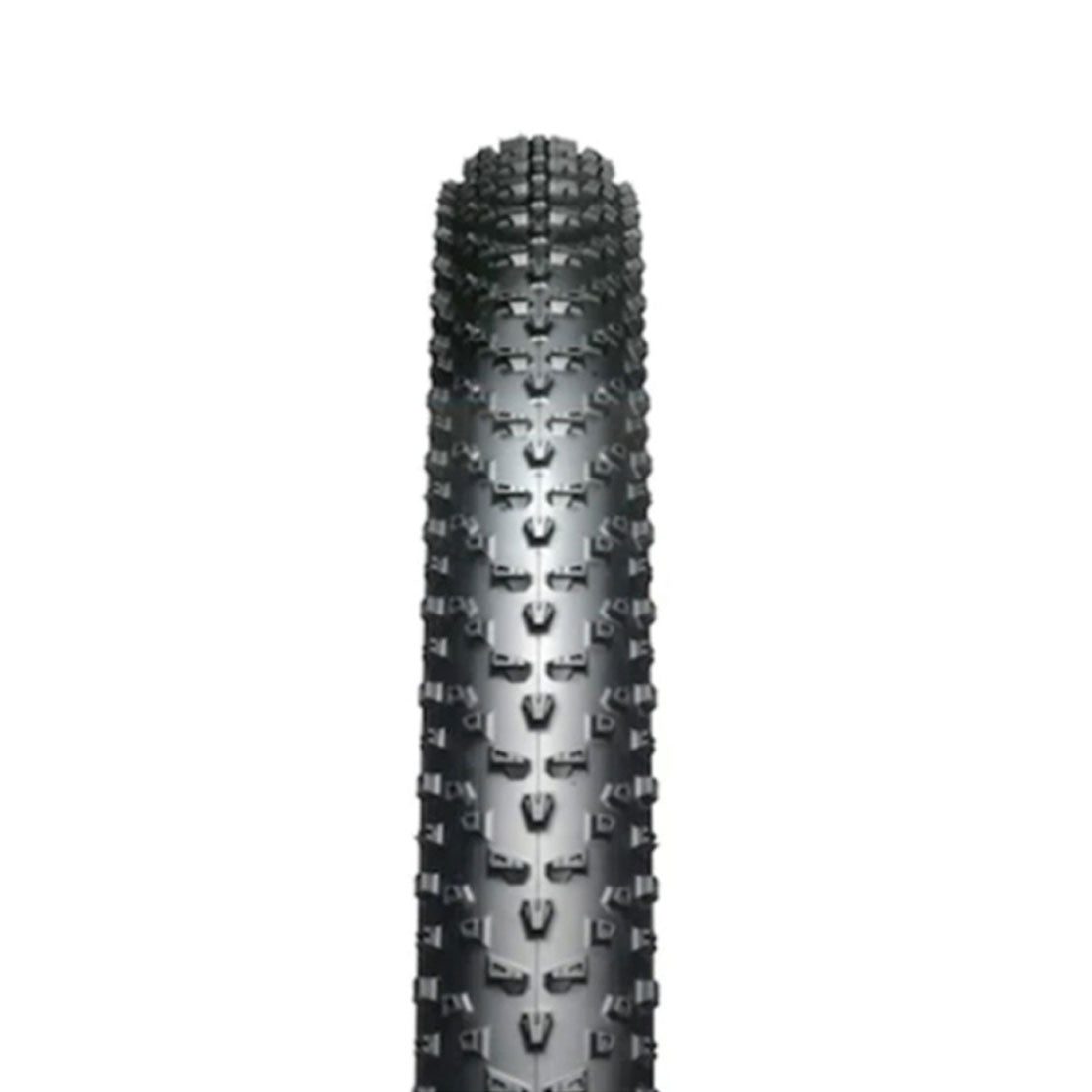 Mount Cook TLR 29x2.25 Arisun tire