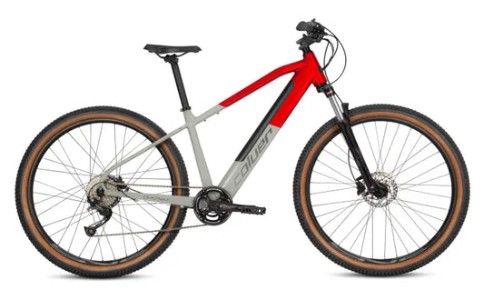 Coluer Pragma 298 Bicycle