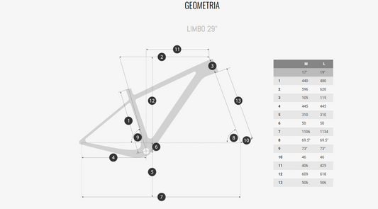 Bicicleta Coluer Limbo 29 Deore-Race 10 (525 RL)